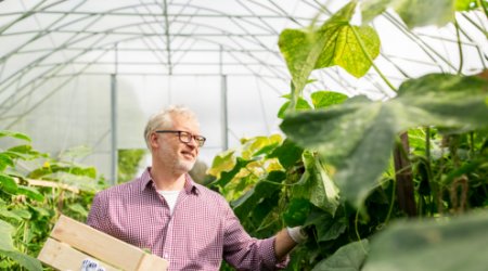 Low alkaline HALS, solve the light stability problem of acid system